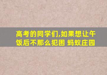 高考的同学们,如果想让午饭后不那么犯困 蚂蚁庄园